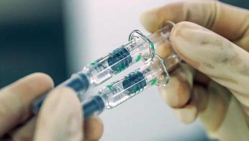 九個(gè)市民關(guān)心的疫苗問題，電力科研專家來解答